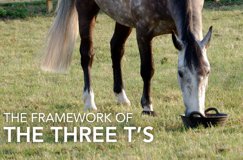 Nutrition basics - The framework of the three T’s | Equine Science Matters™